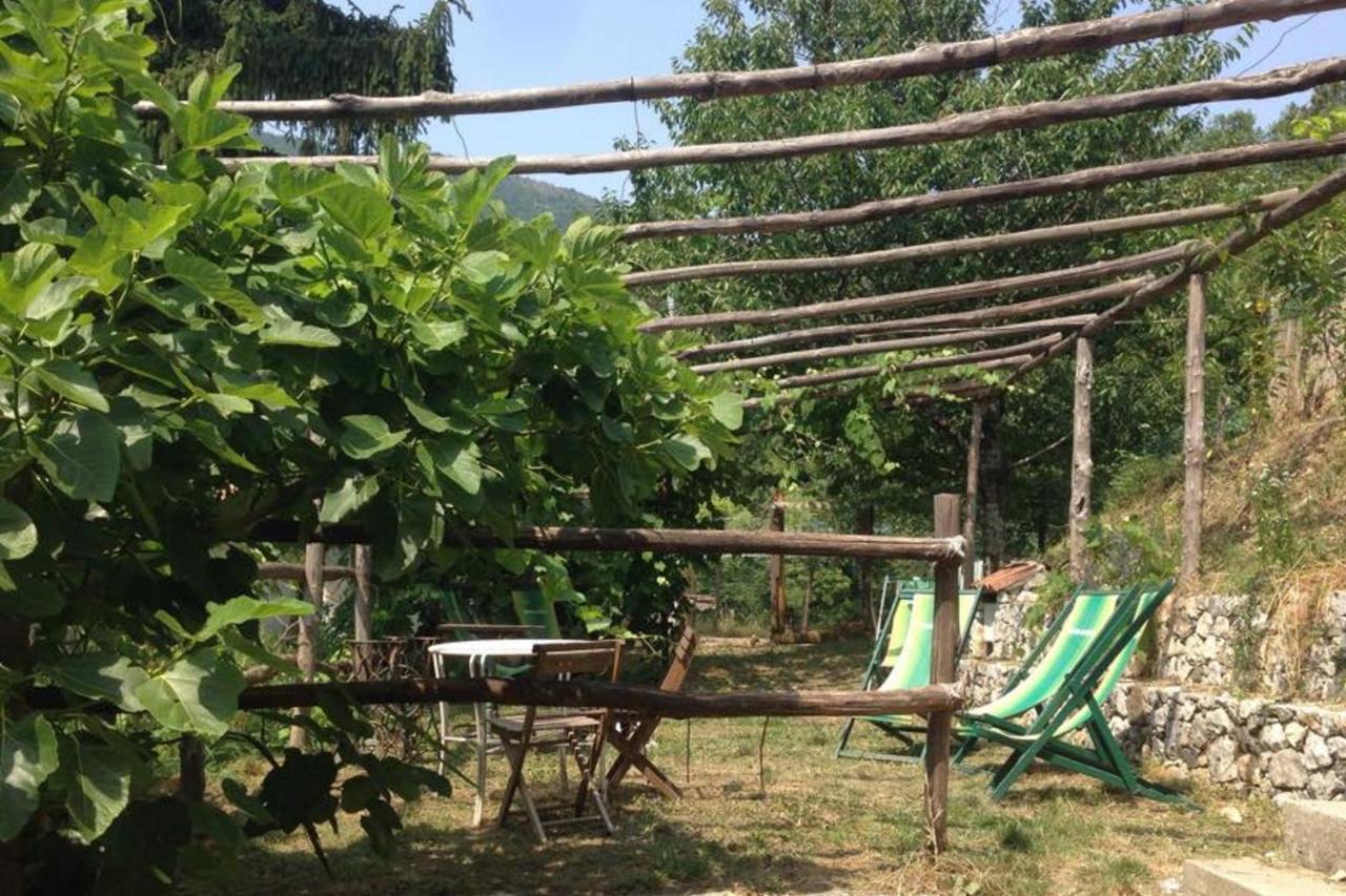 Agriturismo Di Charme E Ristorante Stallato Il Filo Di Paglia Carro Exterior photo